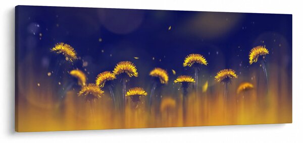 Tablou - Păpădii (120x50 cm)