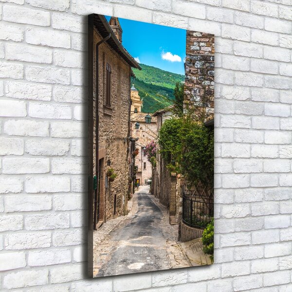 Pictură pe pânză stradă fermecătoare