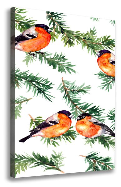 Print pe canvas Robin și conifere