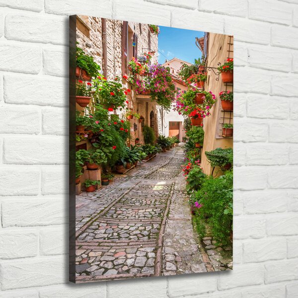 Print pe canvas Umbria Italia