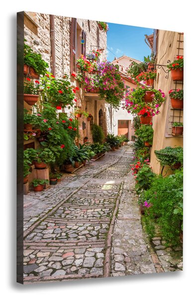 Print pe canvas Umbria Italia