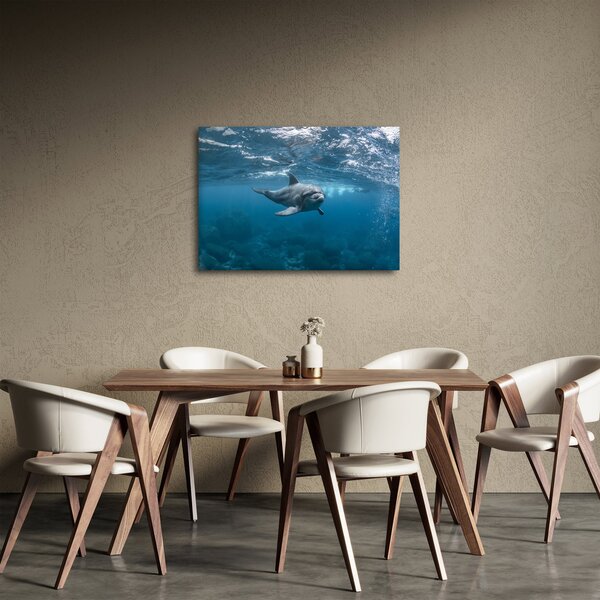 Tablou - Delfin sub apă (70x50 cm)
