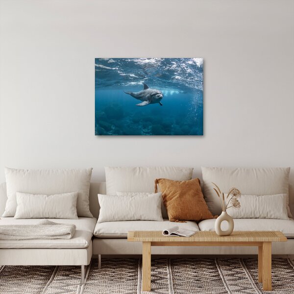 Tablou - Delfin sub apă (70x50 cm)