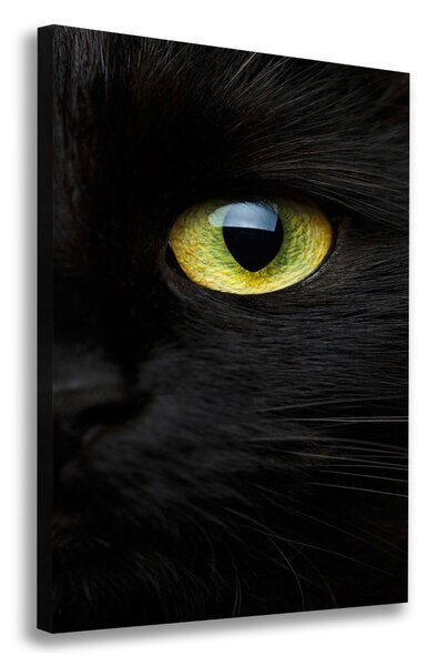 Print pe canvas ochi de pisica