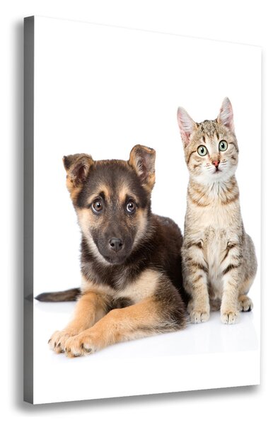 Tablou canvas Câine și pisică