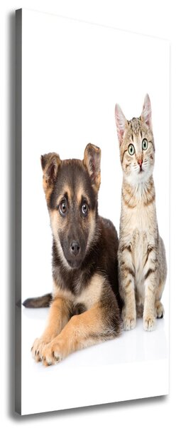 Tablou canvas Câine și pisică
