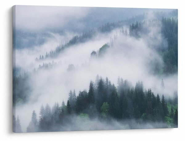 Tablou - Copacii în ceață (70x50 cm)