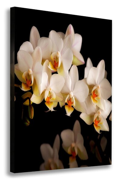 Print pe canvas Orhidee