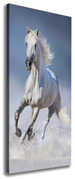 Tablou canvas cal alb în galop