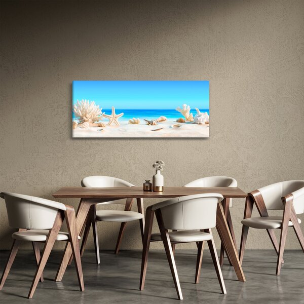Tablou - Natura morta cu scoici (120x50 cm)