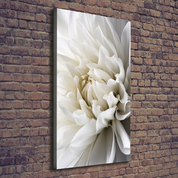 Print pe pânză Dahlia alb
