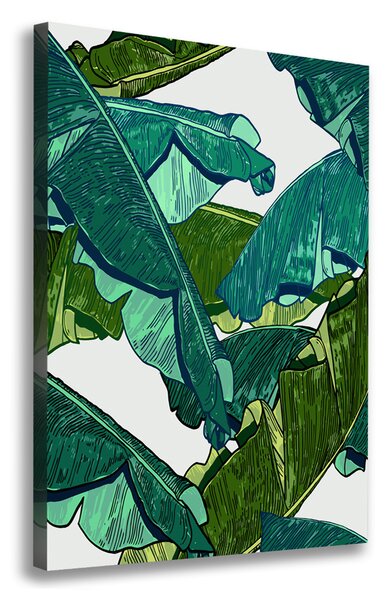 Imprimare tablou canvas frunze de bananier