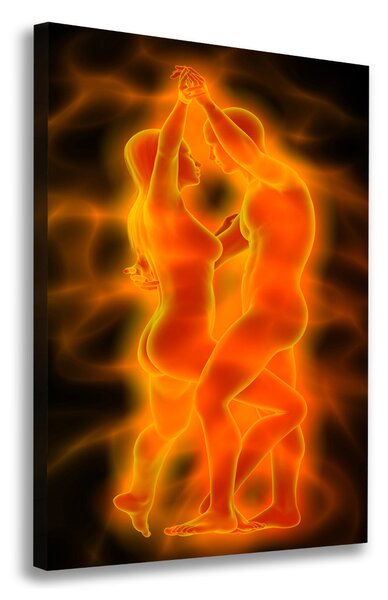 Imprimare tablou canvas pereche de dans