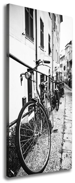 Tablou canvas biciclete urbane