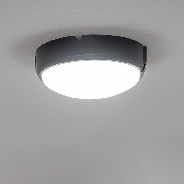 Brilagi - Plafonieră industrială LED SIMA LED/12W/230V IP65 negru