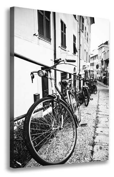 Tablou canvas biciclete urbane