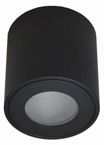 Plafonieră de exterior FARA 1xGU10/50W/230V IP54 neagră