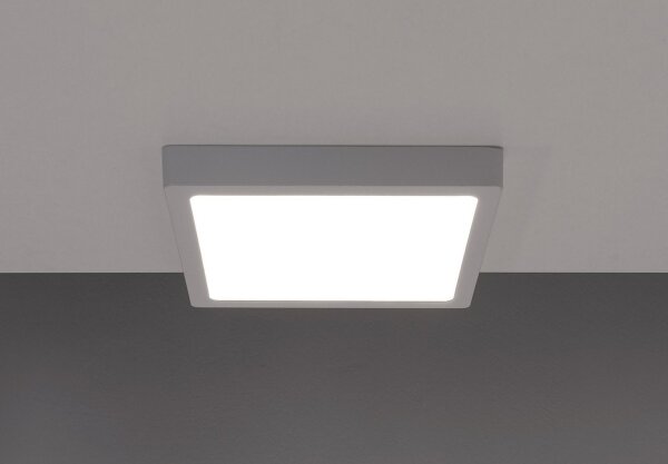 Plafonieră LED GERRY LED/6W/230V 4000K