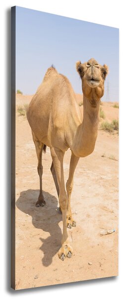 Pictură pe pânză Camel în deșert