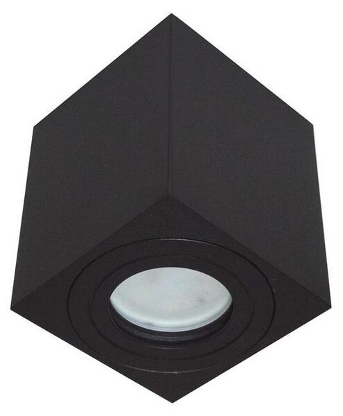 Lampă spot exterior SARA 1xGU10/30W/230V IP54 negru