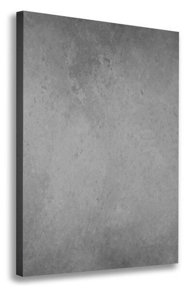 Print pe canvas fundal de beton