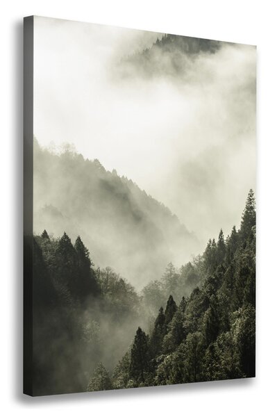 Tablou pe pânză canvas Ceață peste pădure