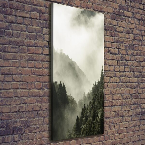 Tablou pe pânză canvas Ceață peste pădure
