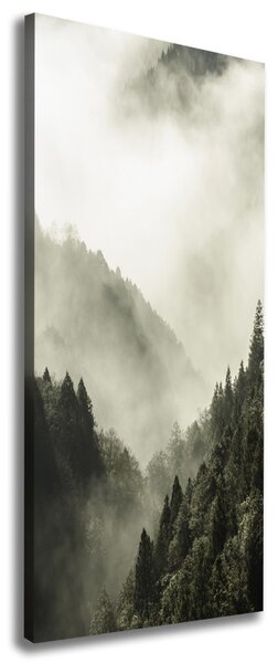 Tablou pe pânză canvas Ceață peste pădure