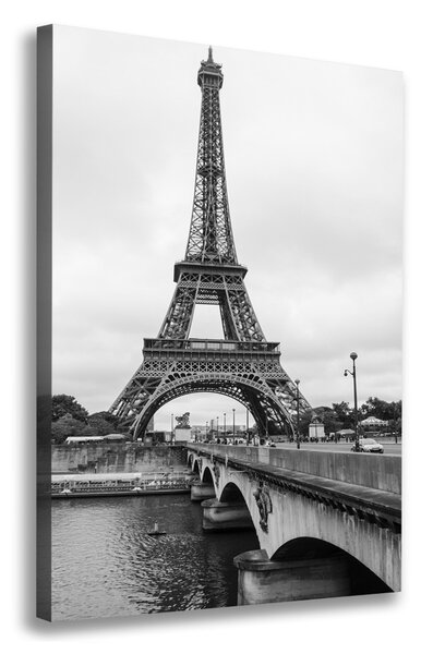 Tablou canvas Turnul Eiffel din Paris