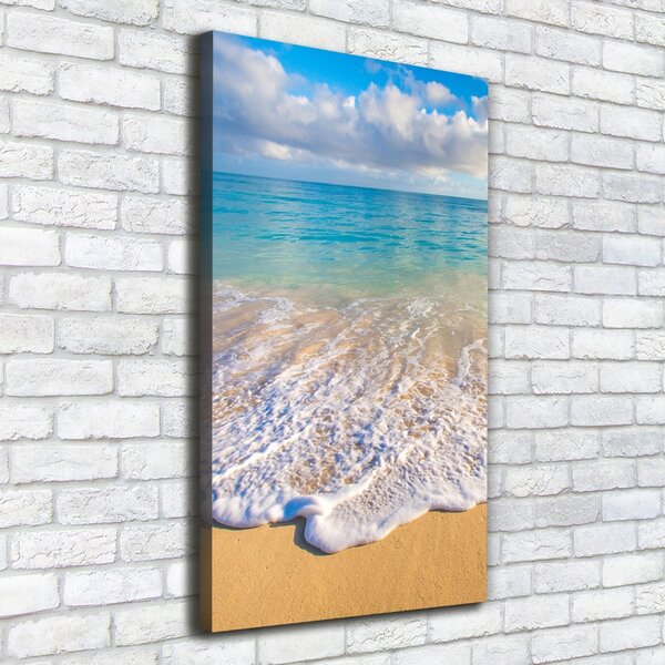 Tablou pe pânză canvas plaja tropicala