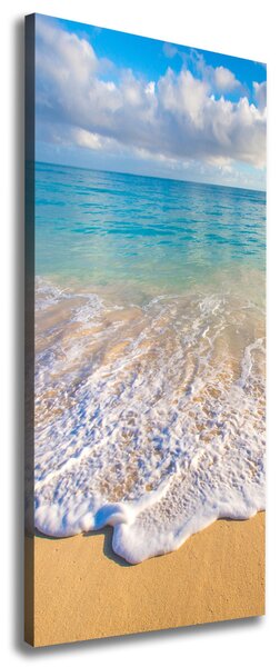 Tablou pe pânză canvas plaja tropicala