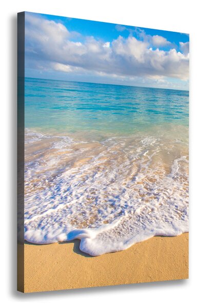 Tablou pe pânză canvas plaja tropicala