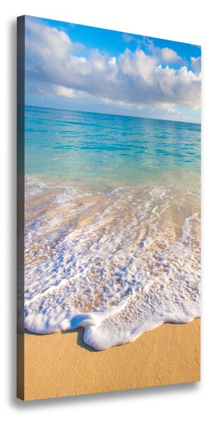 Tablou pe pânză canvas plaja tropicala