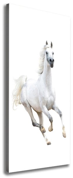 Tablou pe pânză canvas cal alb în galop