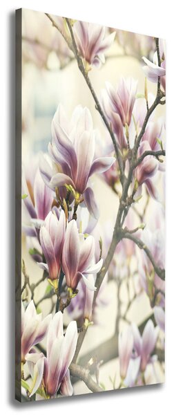 Imprimare tablou canvas Magnolie