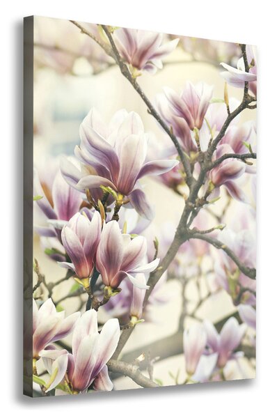 Imprimare tablou canvas Magnolie