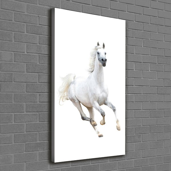 Tablou pe pânză canvas cal alb în galop