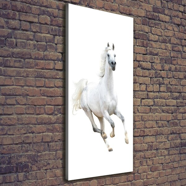 Tablou pe pânză canvas cal alb în galop