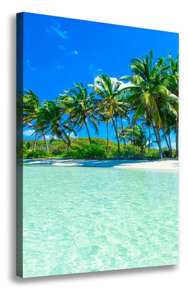 Pictură pe pânză plaja tropicala