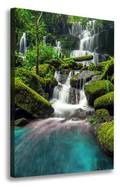 Tablou pe pânză Cascada din junglă