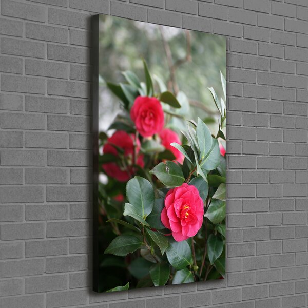 Print pe canvas camelia