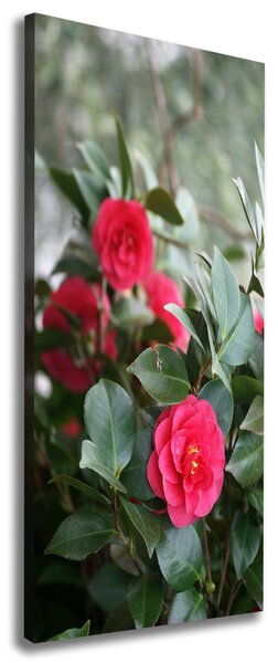 Print pe canvas camelia
