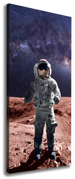 Tablou pe pânză canvas Astronaut