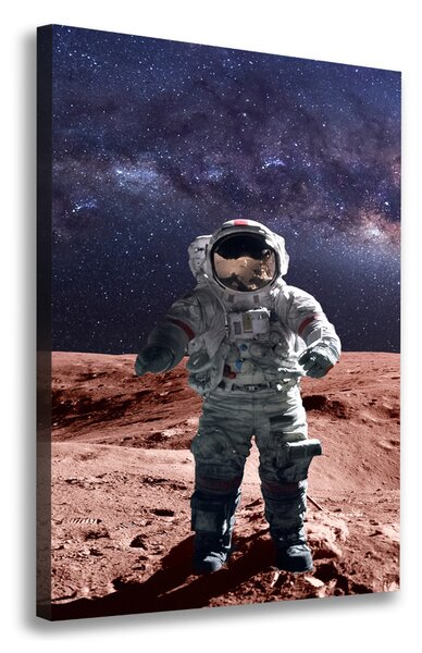 Tablou pe pânză canvas Astronaut