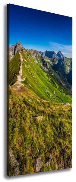 Print pe canvas Tatry