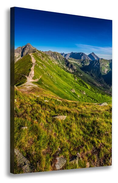 Print pe canvas Tatry