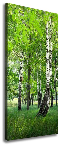 Imprimare tablou canvas pădurea de mesteacăn