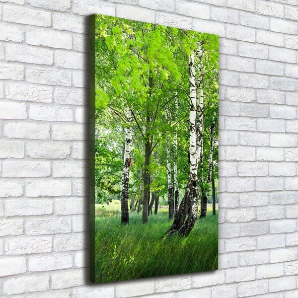 Imprimare tablou canvas pădurea de mesteacăn