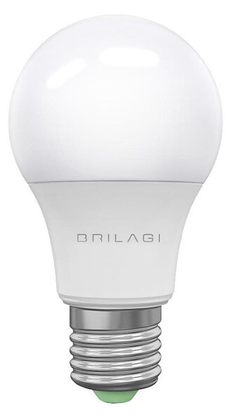 Bec LED ECOLINE A60 E27/15W/230V 6500K Brilagi