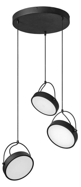 Osram - Lampă suspendată pe cablu LED DECOR PUCK 3xLED/12W/230V CRI 90 negru